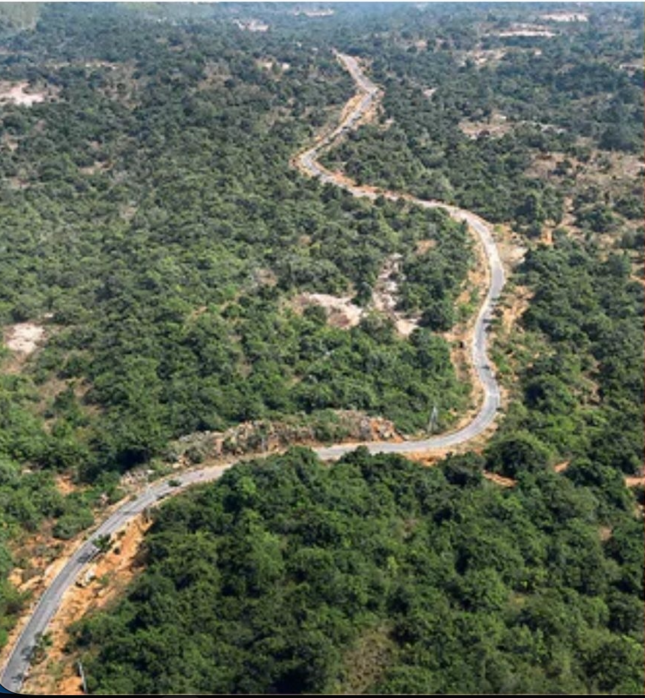 Blacktop Road Construction